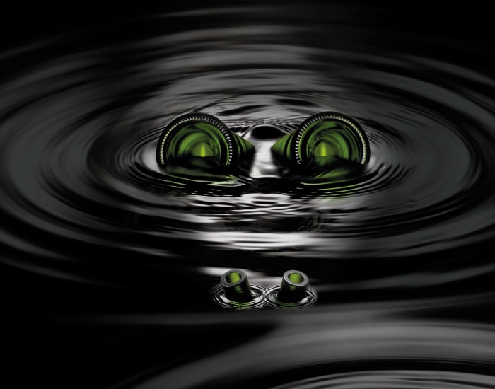 Image without a name Image without a name