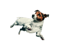 Image without a name